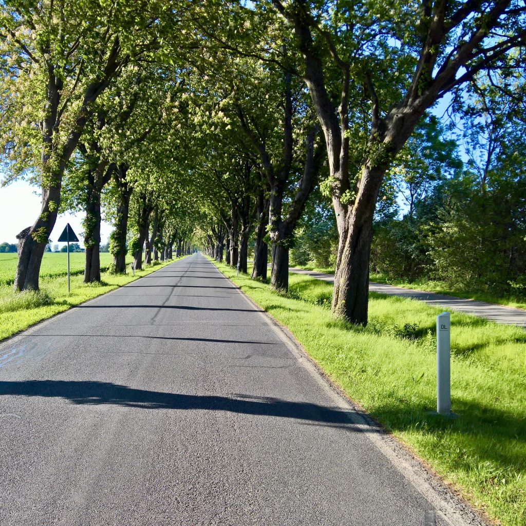 Sidewalk and walkway surface
